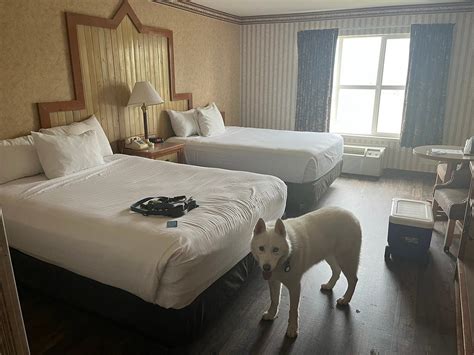 horseshu hotel casino sportsbook review.